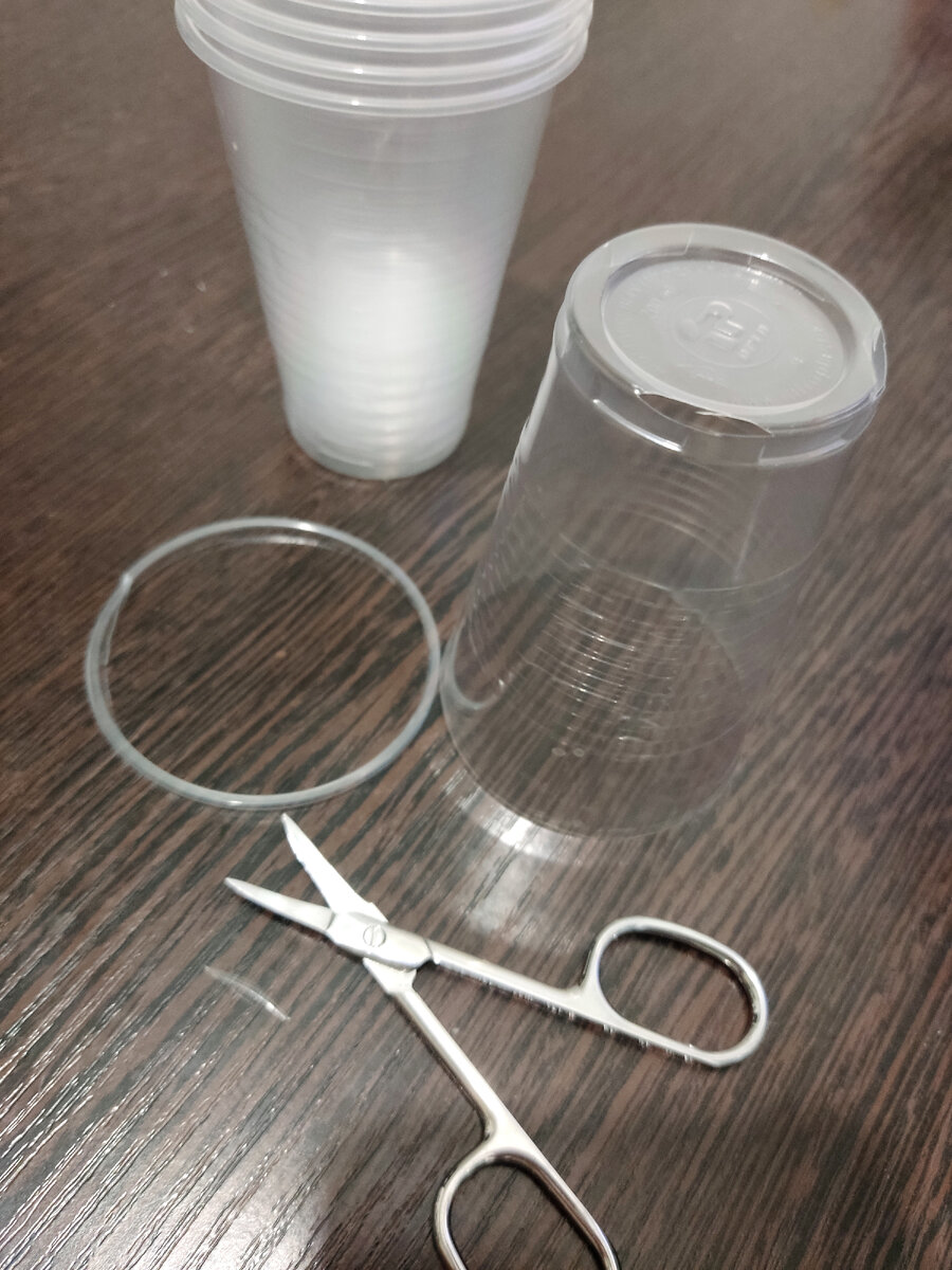 Вот таким образом с 4 сторон делаю надрезы. ВНИМАНИЕ! Прозрачную тару лучше не использовать! А если и используете, то тогда обеспечьте темноту корням - или ставьте в глубоку тару, или заверните стакан в бумагу например.