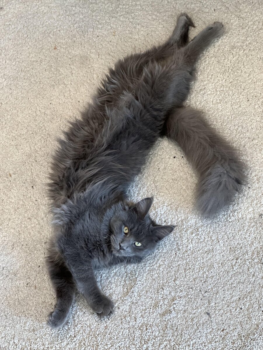 деньги хорватии. куна денежная единица хорватии. 20 кун. 20 кун. банкноты хорватии.