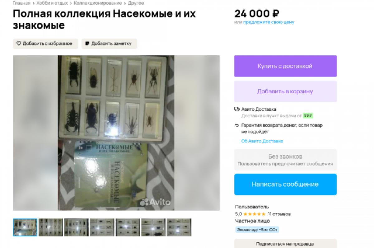    В Новосибирске продают коллекцию насекомых за 24 тысячи рублей