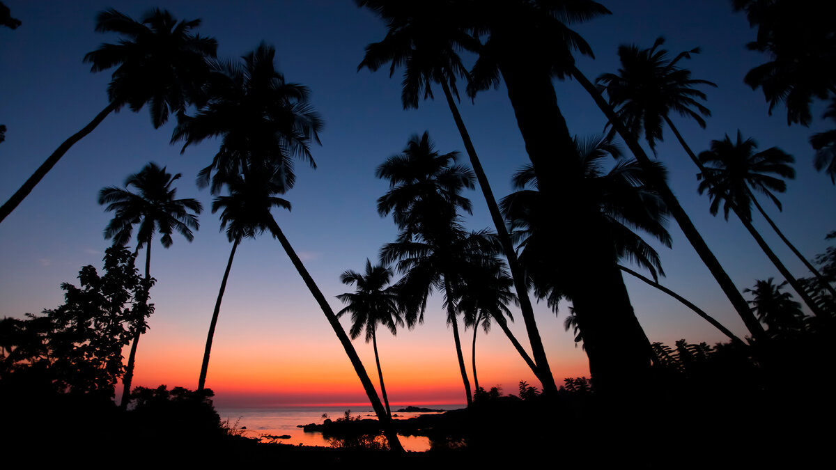(Фото по видимому Александры Кампински)
