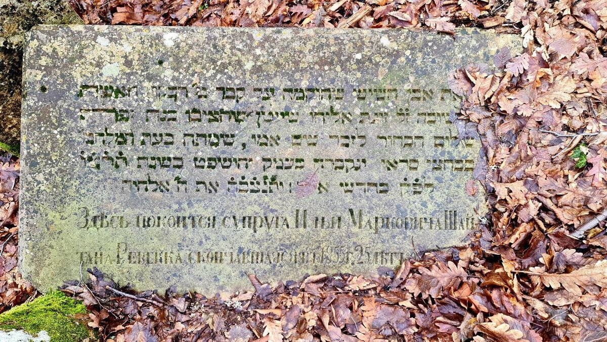 девлет гирей 1571. поход ивана грозного на крымское ханство 1559. армия крымского ханства. поход на крымское ханство иван 4. походы голицына на крым 1687.