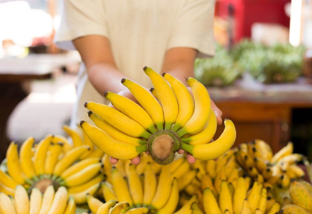    «Опасно нестабильная» страна предложила поставить в РФ бананы за копейки