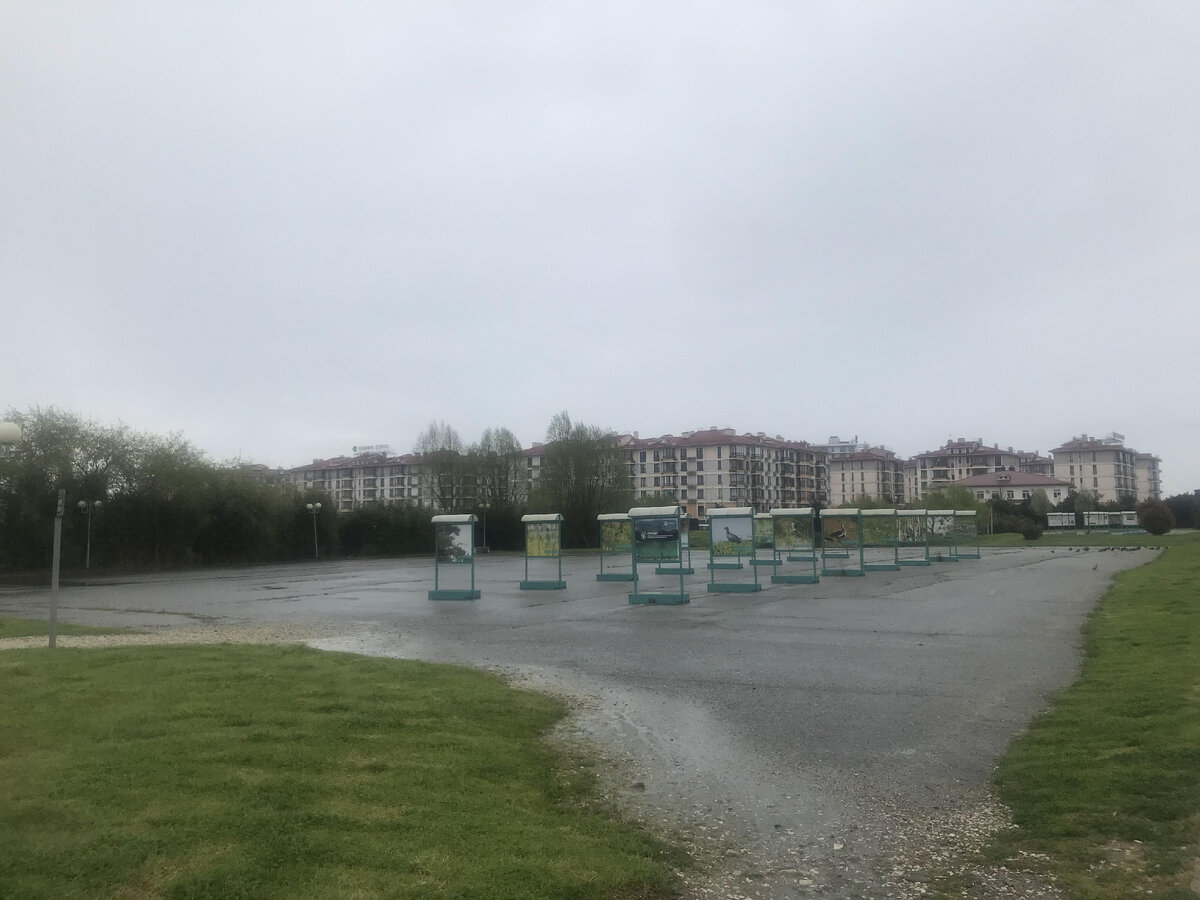 Мы развелись, но не разъехались: все проблемы сына от этого?