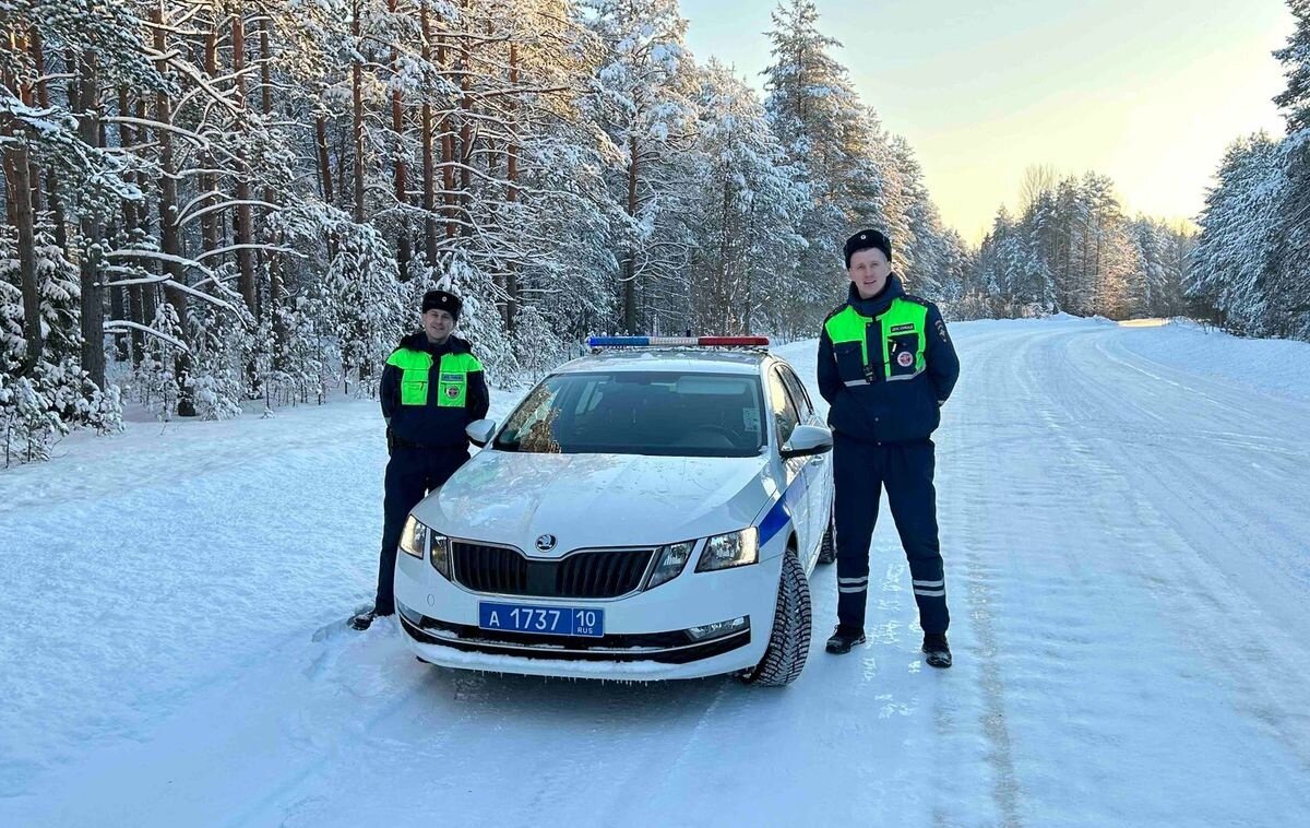 Полицейские Карелии помогли вытащить из кювета машину с детьми | Столица на  Онего - новости Петрозаводска и Карелии | Дзен