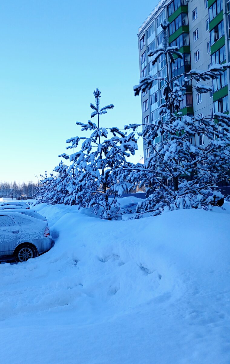 Снегу намело! Фото автора