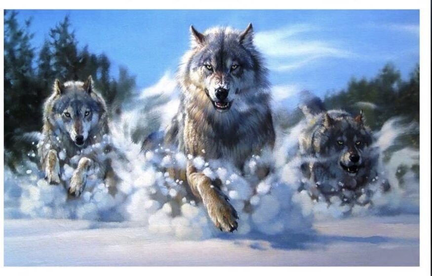 Яндекс картинки 