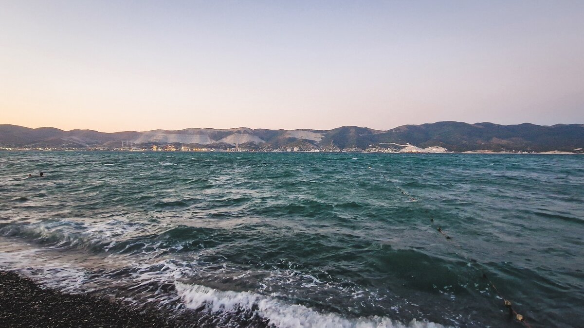     Бизнес-сообщество Приморского края всё больше внимания уделяет такой важной составляющей любого большого дела, как социальная ответственность. Кто-то берёт на себя меценатские обязанности, кто-то помогает волонтёрским организациям, зоозащитникам и так далее.