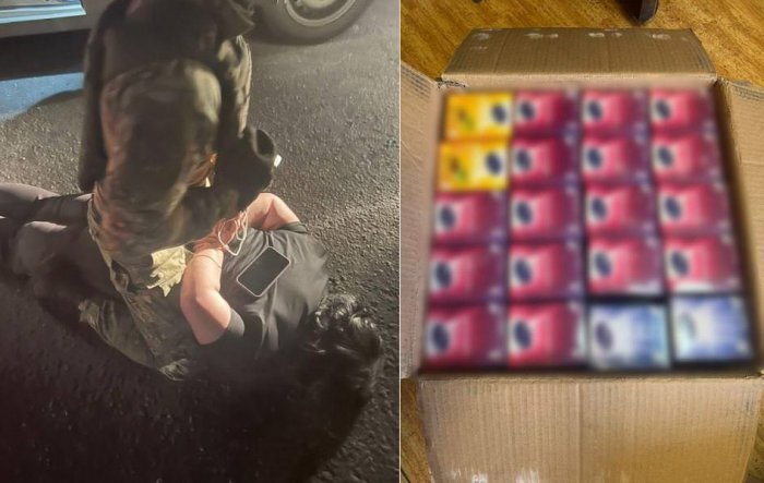 Фото: ГУ МВД по Новосибирской области