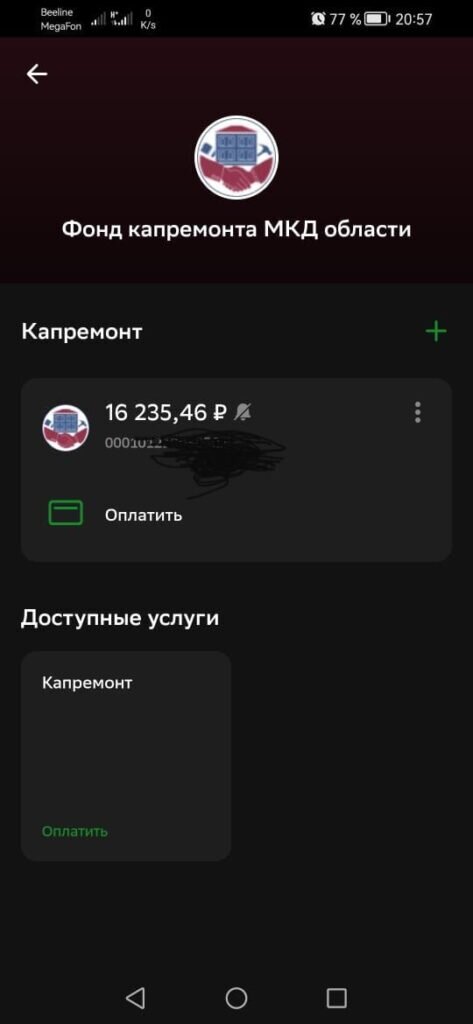    Фото: Наталья Козеева