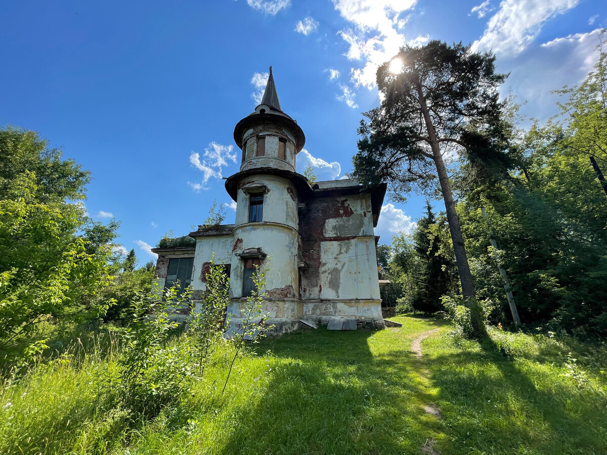 уборка урожая художник василий михайлович каратай. федот васильевич сычков колхозный базар. открытка--во сколько?. пластов «сбор картофеля» 1956г. крестьянин.
