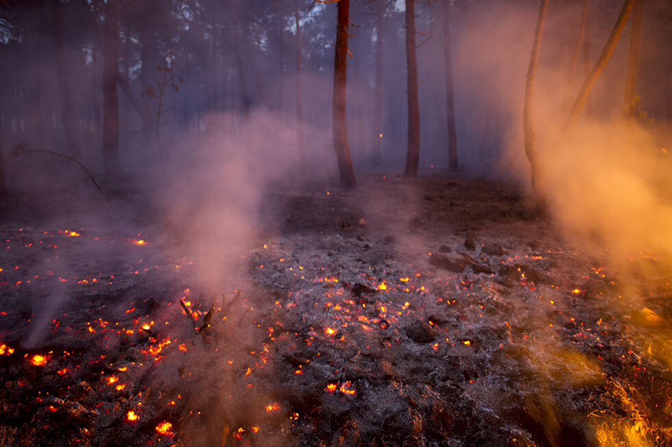 Сжигание пыли. Подземный торфяной Лесной пожар. Торфяные пожары многоочаговые. Торфяные пожары самовозгорание. Природные пожары троянные.