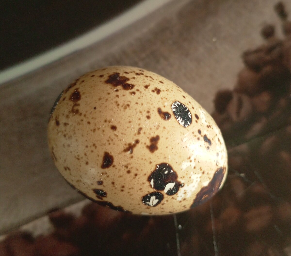 Фото автора канала.