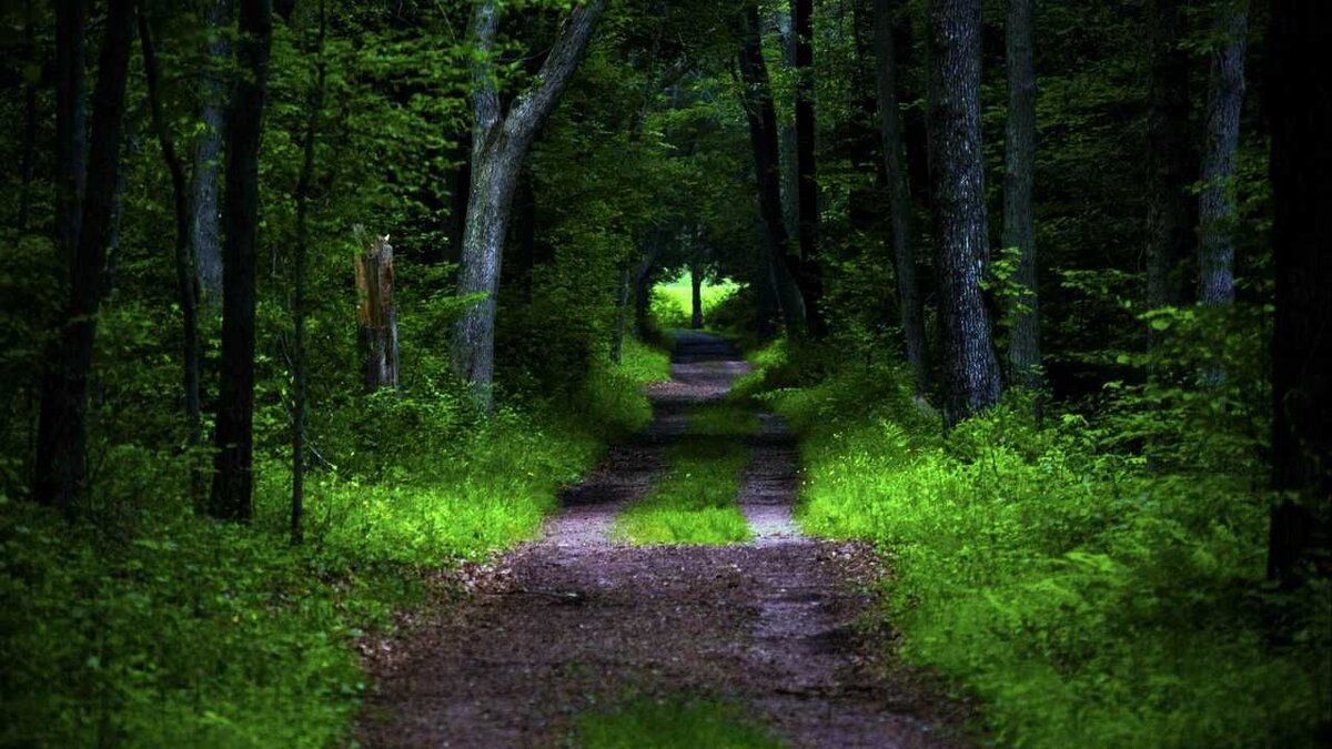 Из открытых источников 