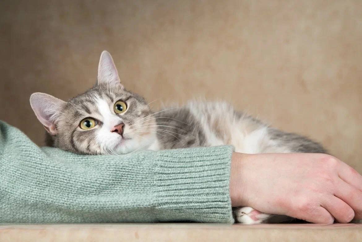 Сусик: его семью выгоняли на декабрьский мороз. От холода спасли. Ищет ...