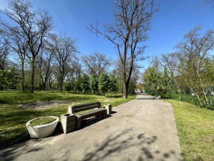 Источник фото: Администрация Ростова