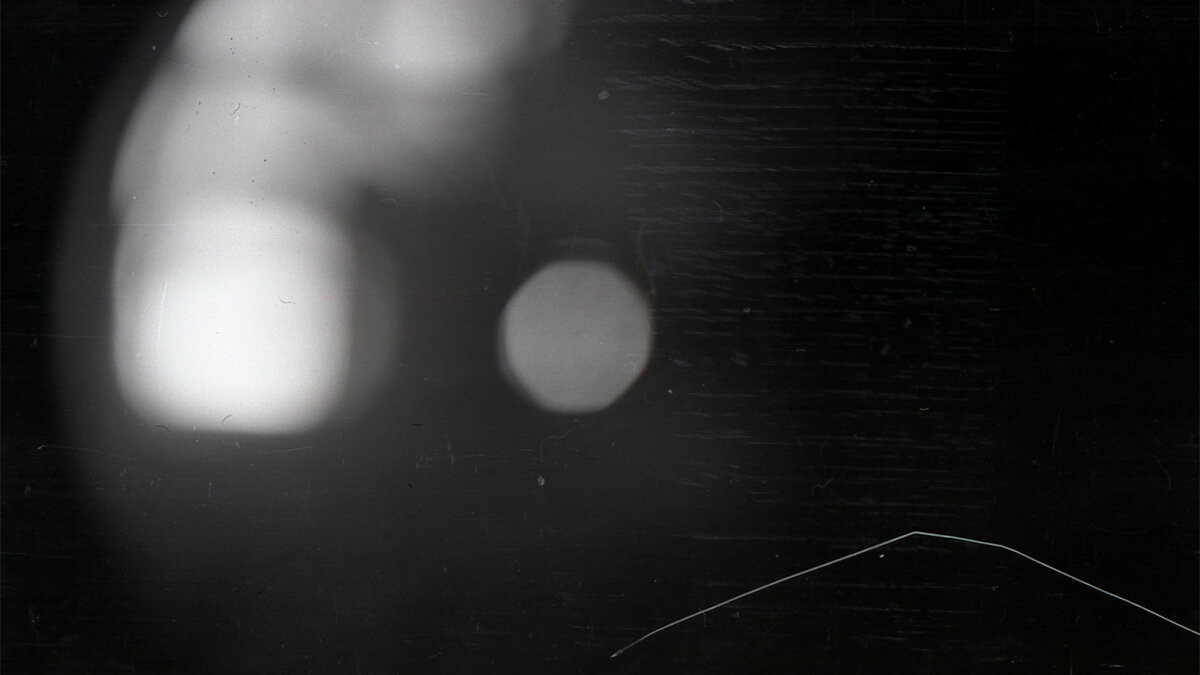 Последний кадр. Фотоаппарат Юры Кривонищенко.