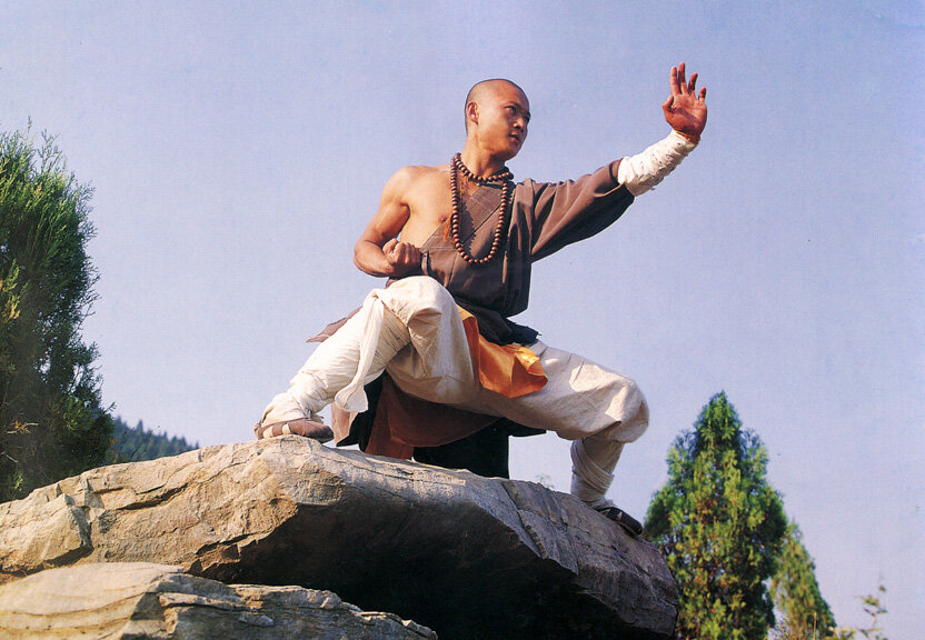 Кадр с houstonshaolin