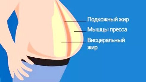 Сжигатель подкожного жира. Жиру нет картинки. Жиру нет что это. Жиру нет что это. Почему после еды выпирает живот.
