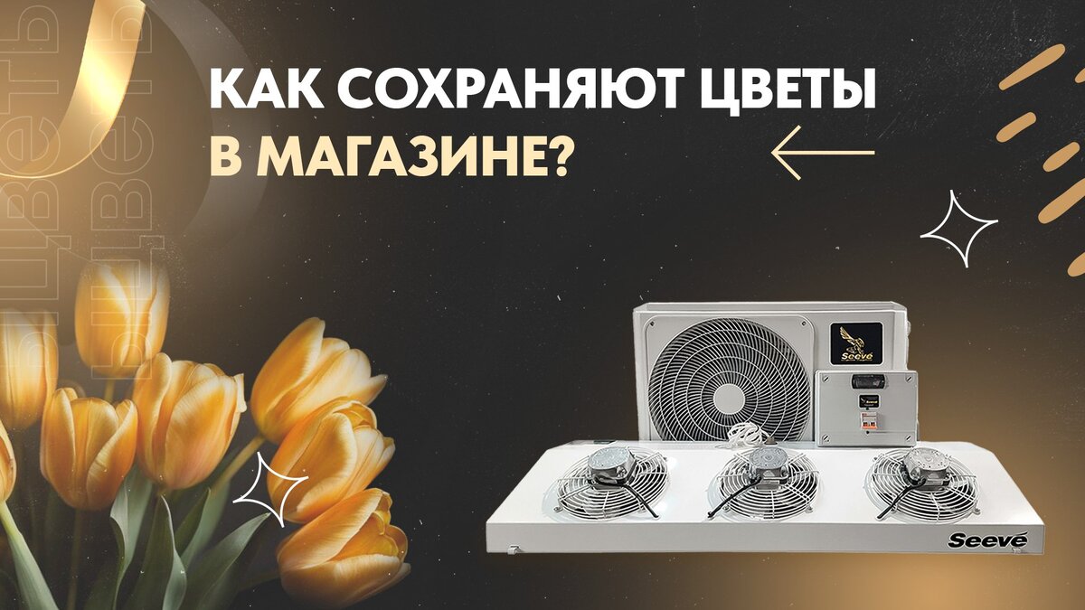 Холодильная сплит-система Seeve.