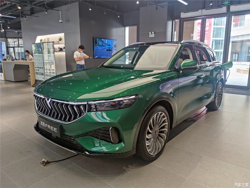    Последовательный гибрид Voyah Free. Левченко Максим