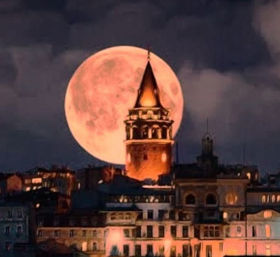 Изменённое фото из интернета  