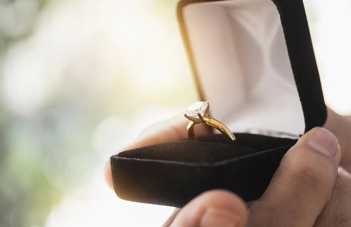 пушистый воробушек арт. ждановна воробушек глава 3. джек воробей птица. воробей рисунок. воробушек арт.