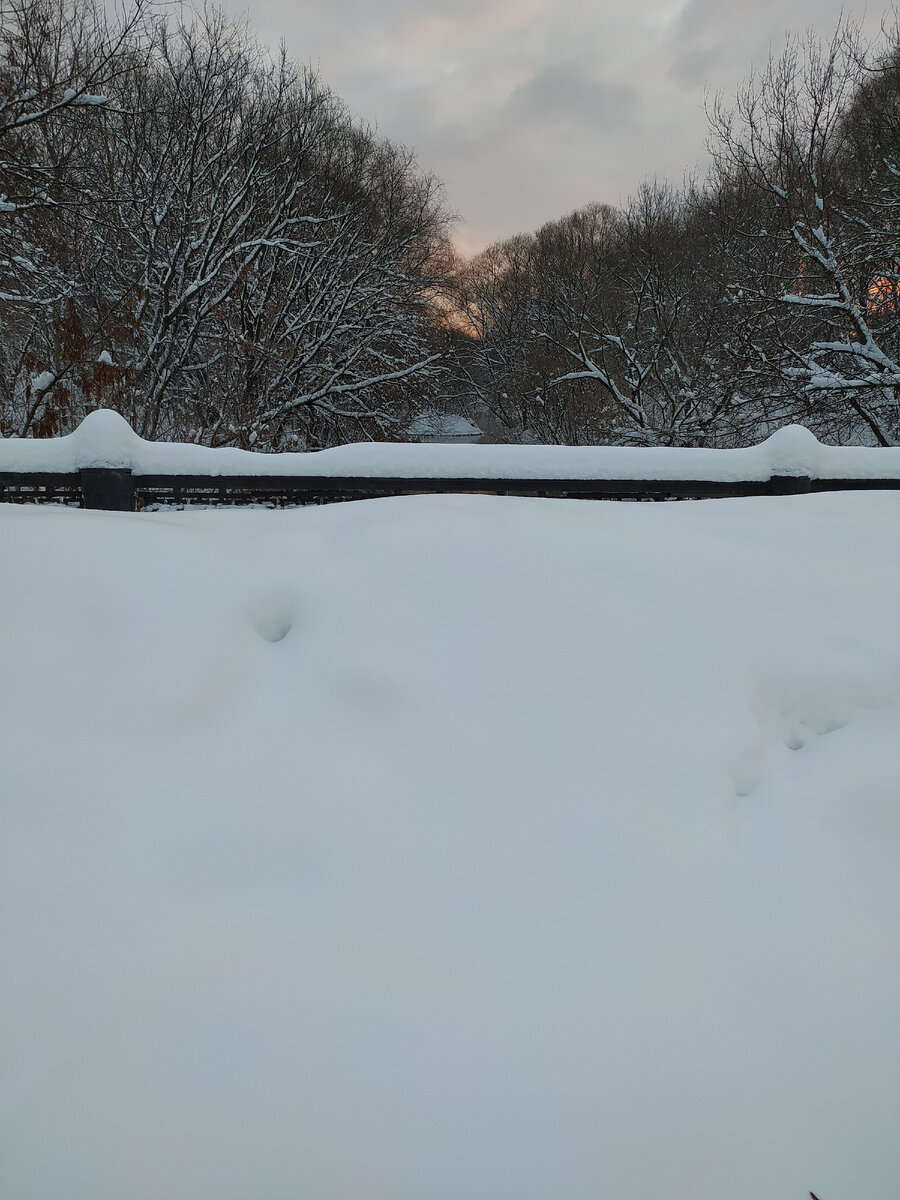 Фото автора. Снег к перилам 