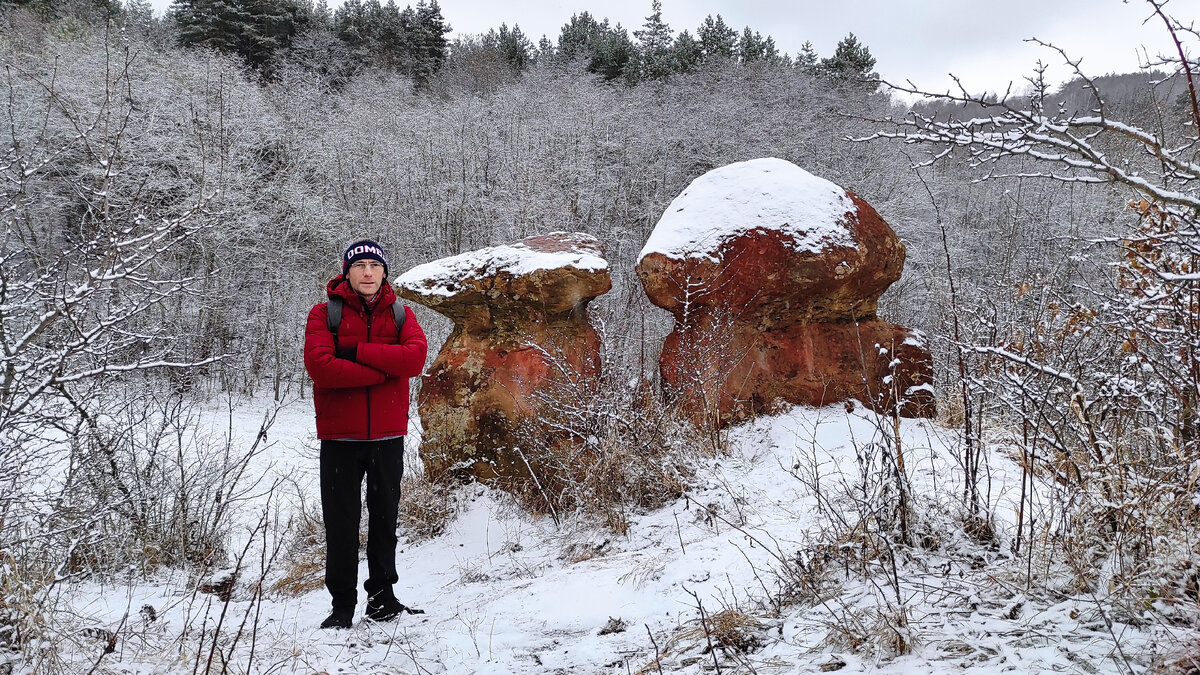 снег и солнце. ставрополь снег солнце. солнце зимой. дерево с сосульками зелеными. зимнее небо.