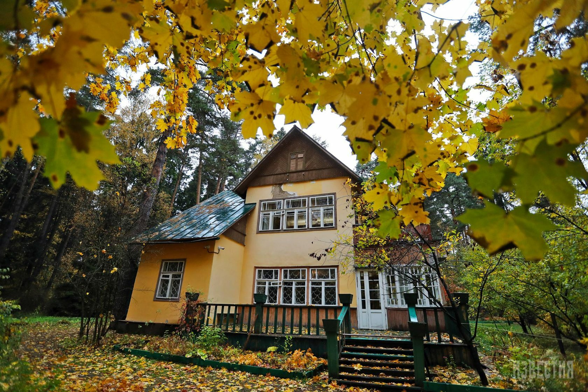 Писательский городок в Переделкино: Уголок литературного вдохновения под  Москвой | LifeScanner | Дзен