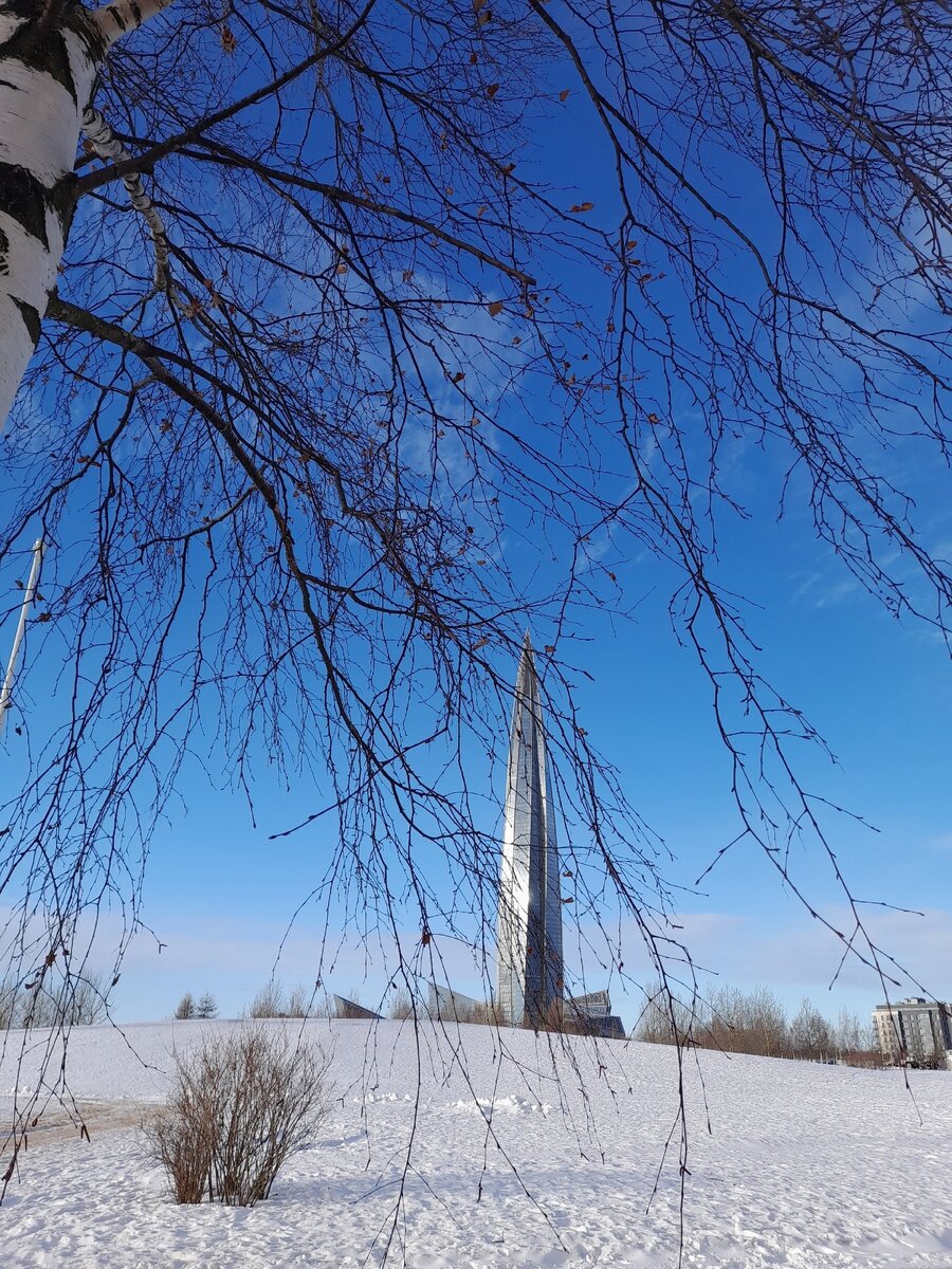 Фото: Мария Золотарева https://vk.cc/cusa9U