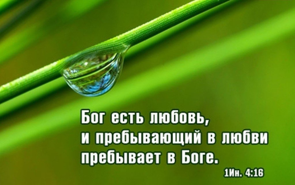  Картинка взята из общего и свободного доступа в интернет