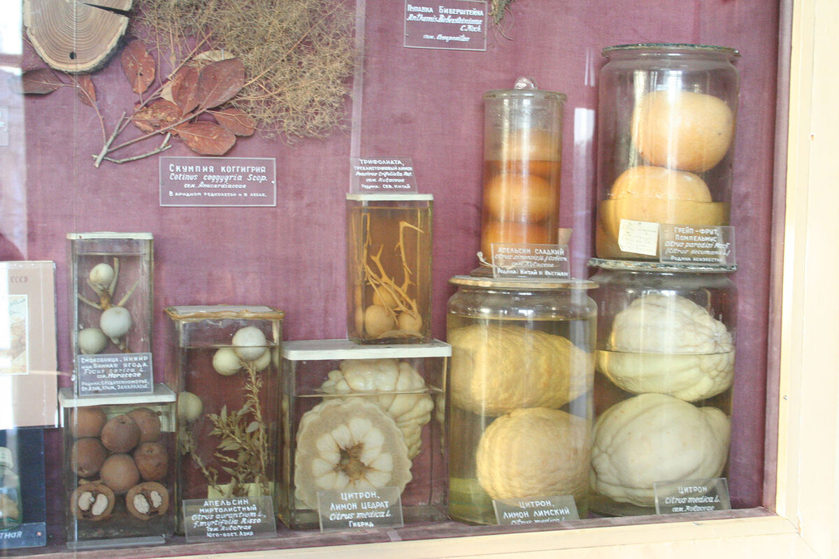 Витрина целиком