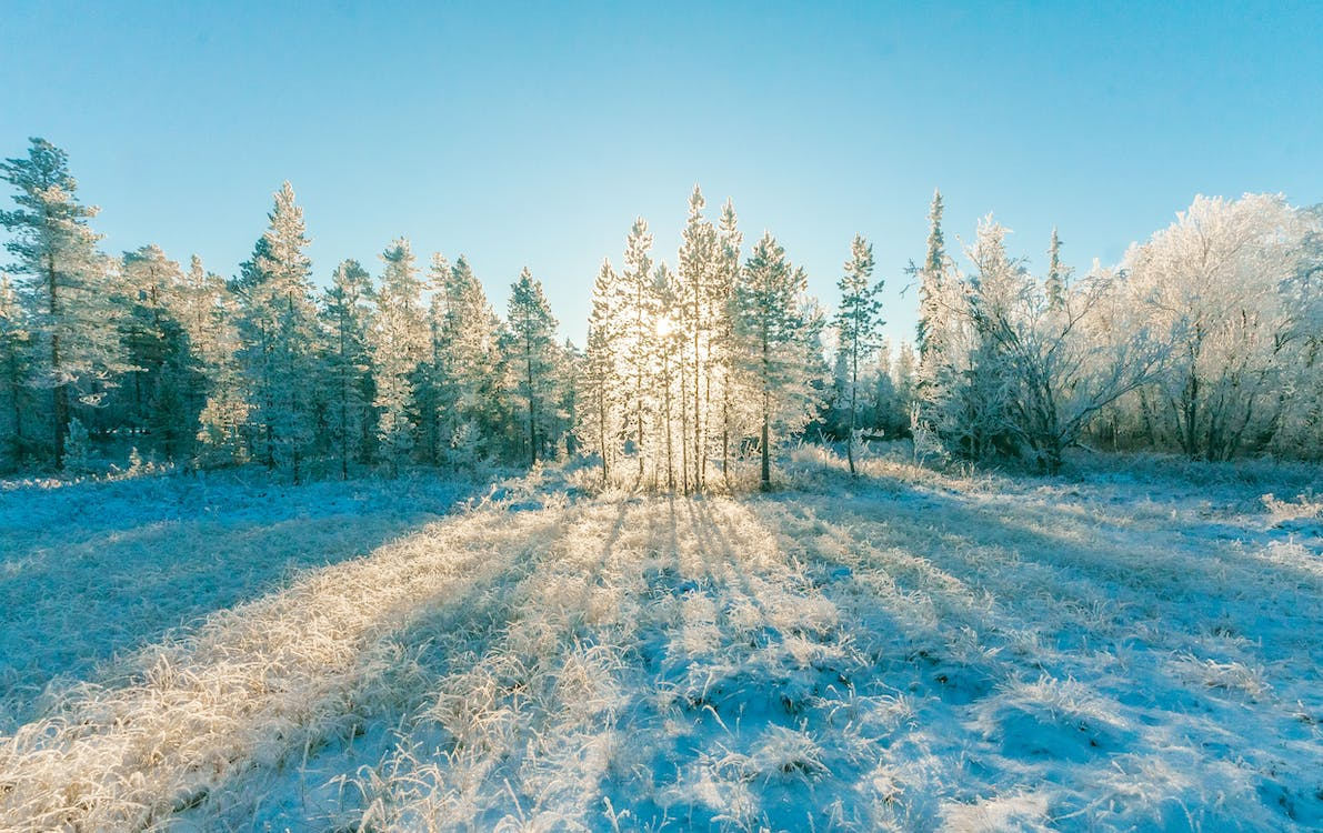 Зимой в России мало тёплых мест, зато куда проще найти города, где весь день светит яркое солнце.-3
