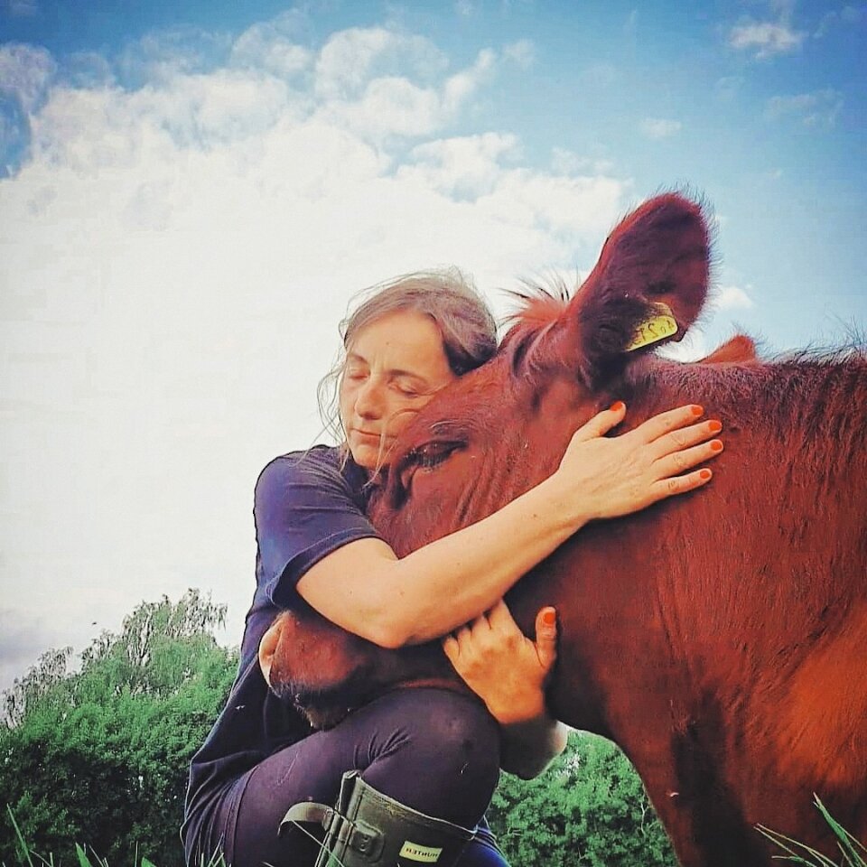 Бычок подрос