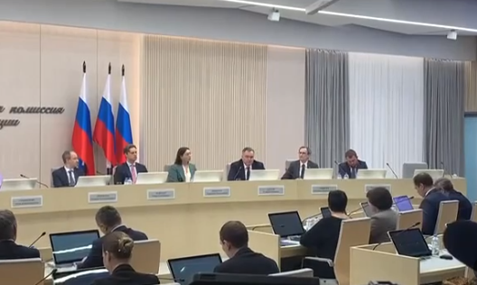 Заседание ЦИК по итогам проверки подписей Надеждина