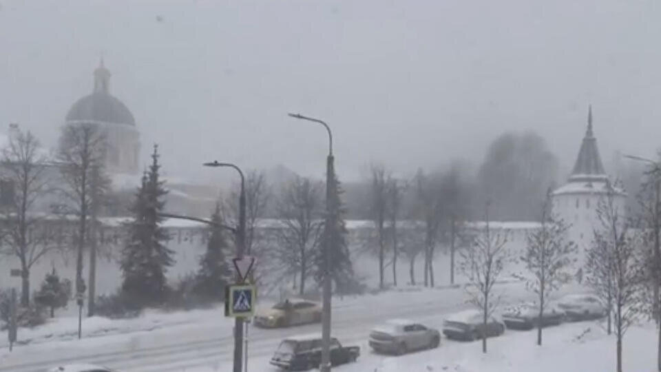 Фото: © Скриншот видео