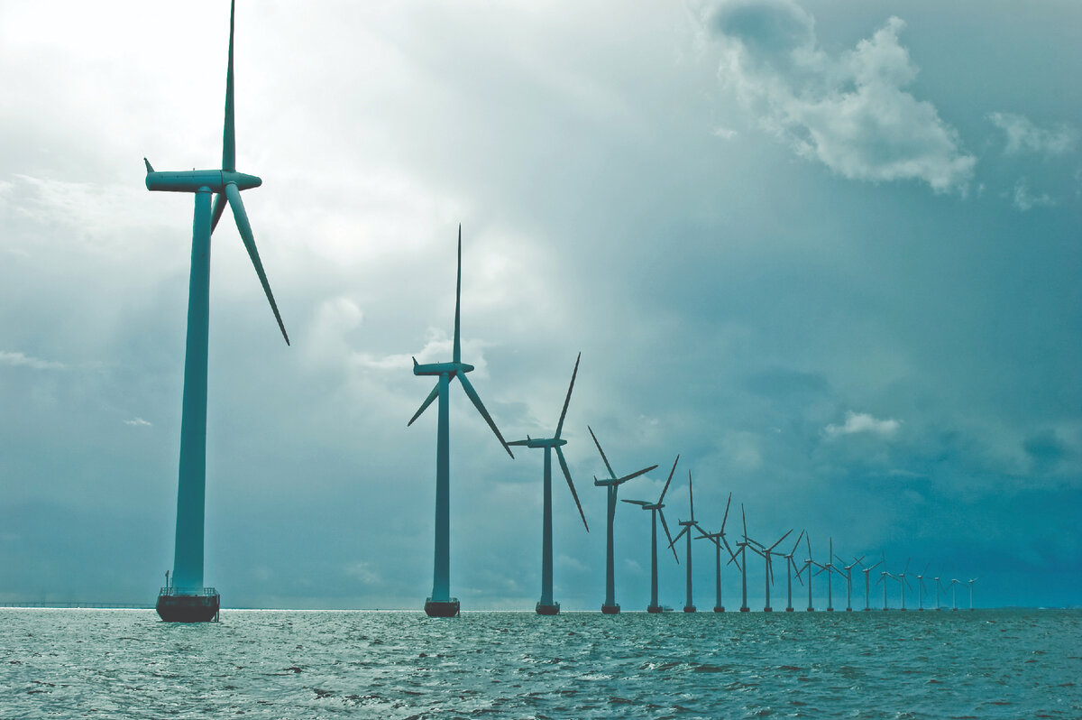 И на суше, и на море Источник: Яндекс Картинки.