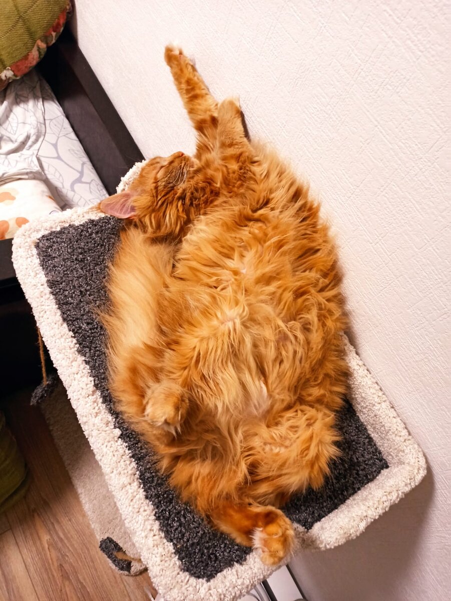 Фото из личного архива