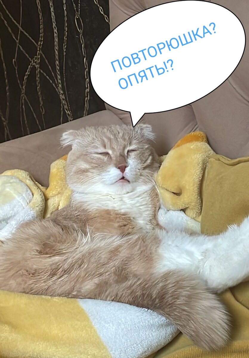 Думаю что многие на меня посмотрят именно так 😆