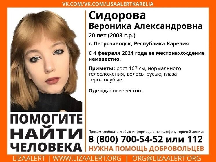     фото: поисковый отряд "ЛизаАлерт" Карелии