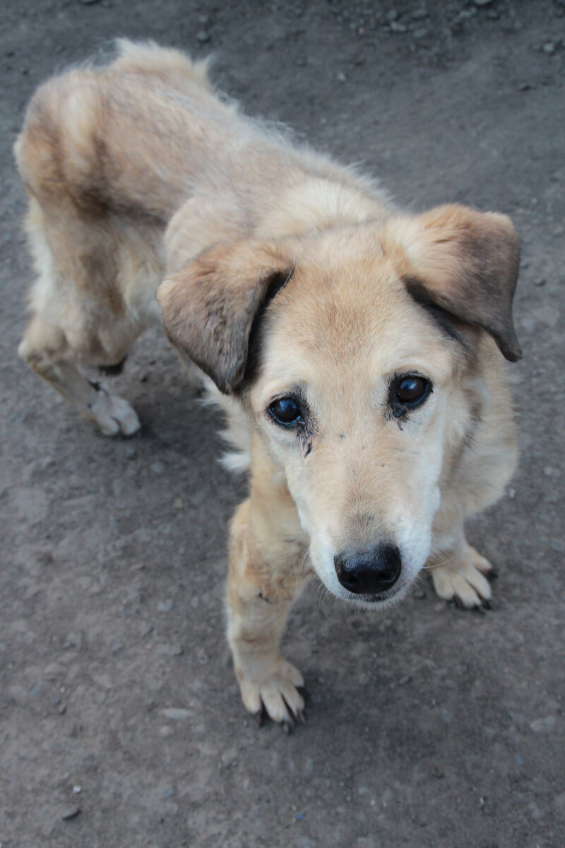 Луна умерла в 2023 году