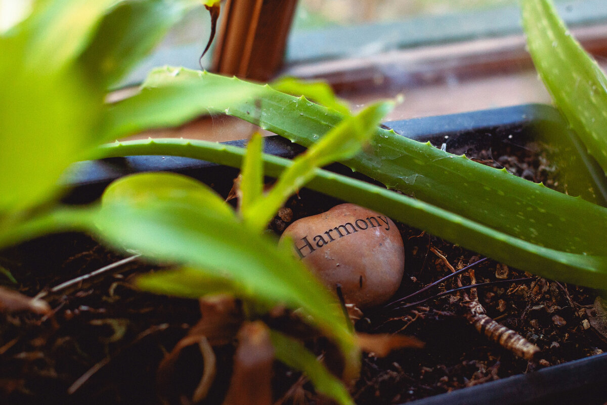 Картинка с бесплатного фотостока https://unsplash.com, автор Melanie Rose Prince