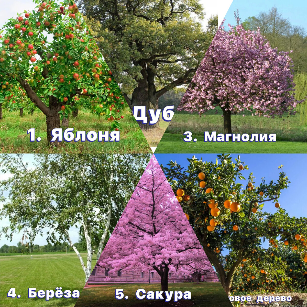 Stendy south park. Did you in the south. Южный парк стэн и венди. Южный парк. Кейтлин саус парк.