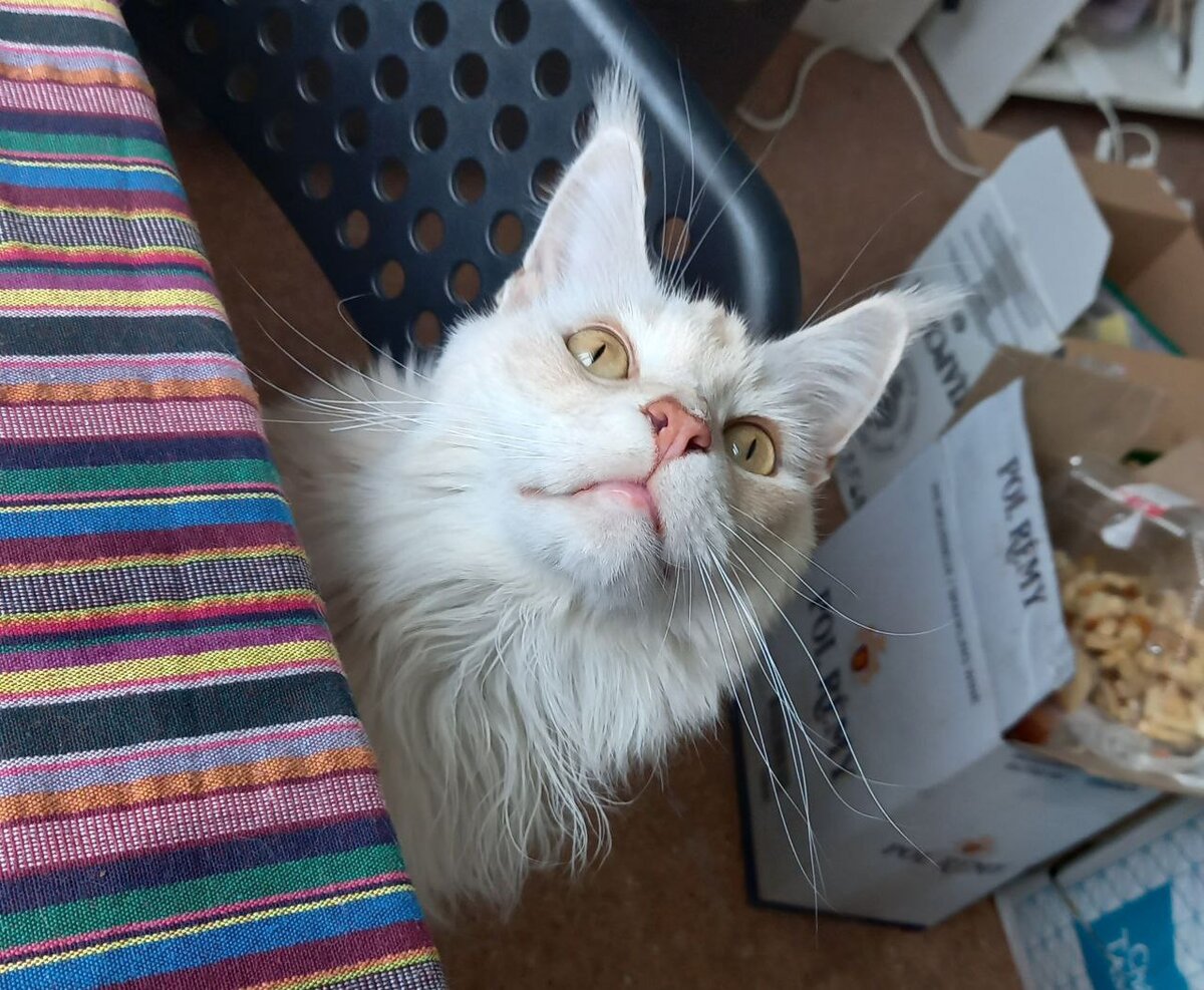 сантехника по месту жительства москва. справка по форме 8 о прописке ребенка. вызвать слесаря из жэка по месту жительства. свидетельство о временной регистрации форма 3. сантехника по месту жительства москва.