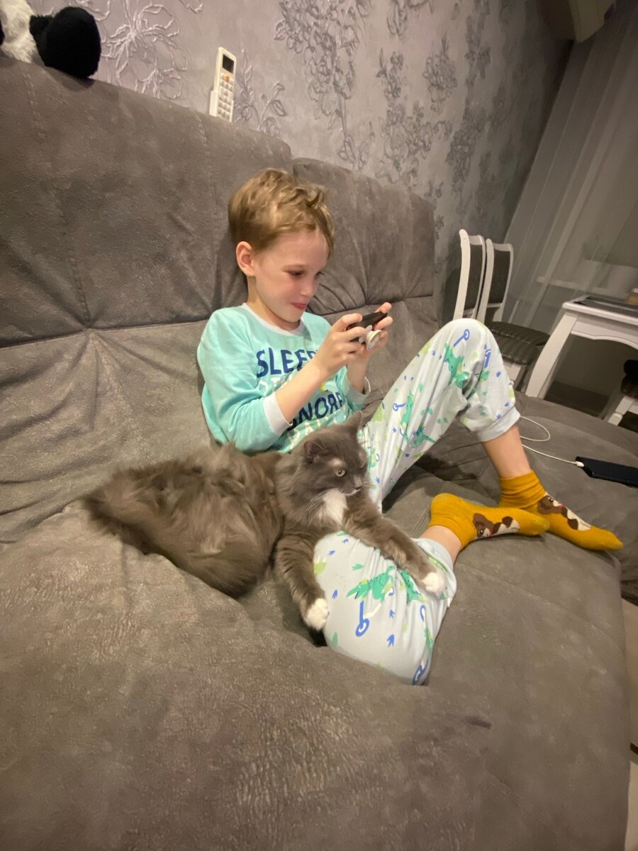 Гаджеты пришли в 6 лет. Ограничения у нас стоят везде, на телефоне контроль родителей и блок игр, с планшетом так же, телевизор ограничено. В выходные или в свободное время разблокируется все на оговоренное время и все