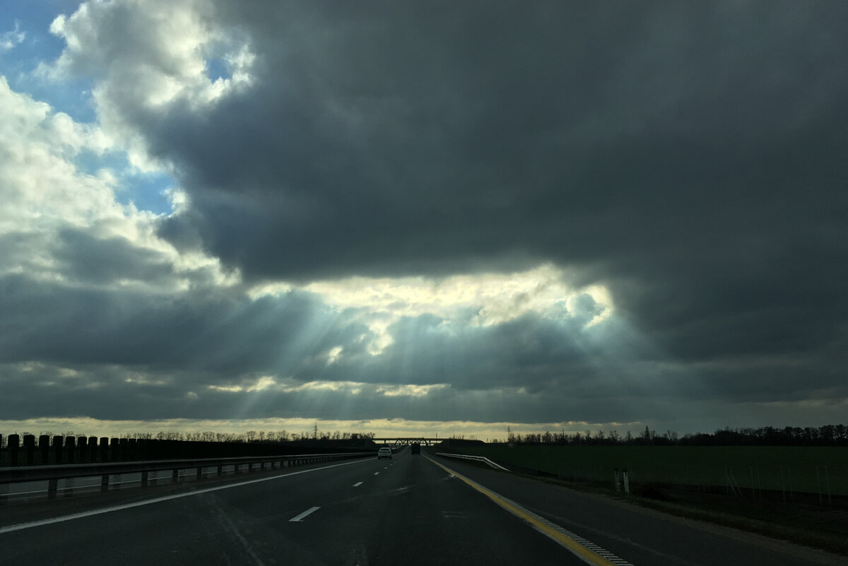 Не спешите уйти | Анна Приходько | Дзен