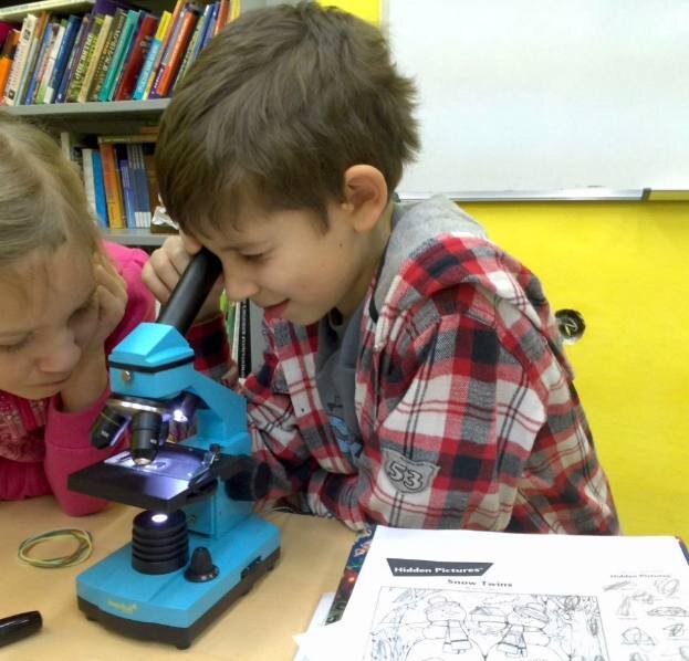 📸 Фото: первые дни дома. Нет, тут мы не вшей рассматриваем, но микроскоп тот же.