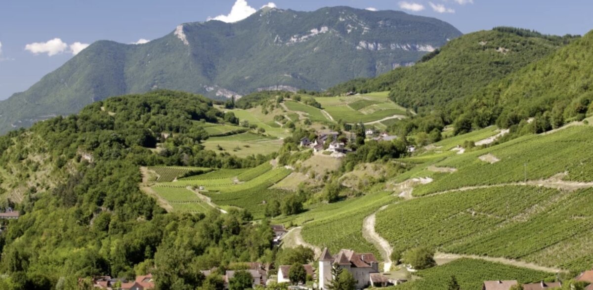 Окрестности Шамони.