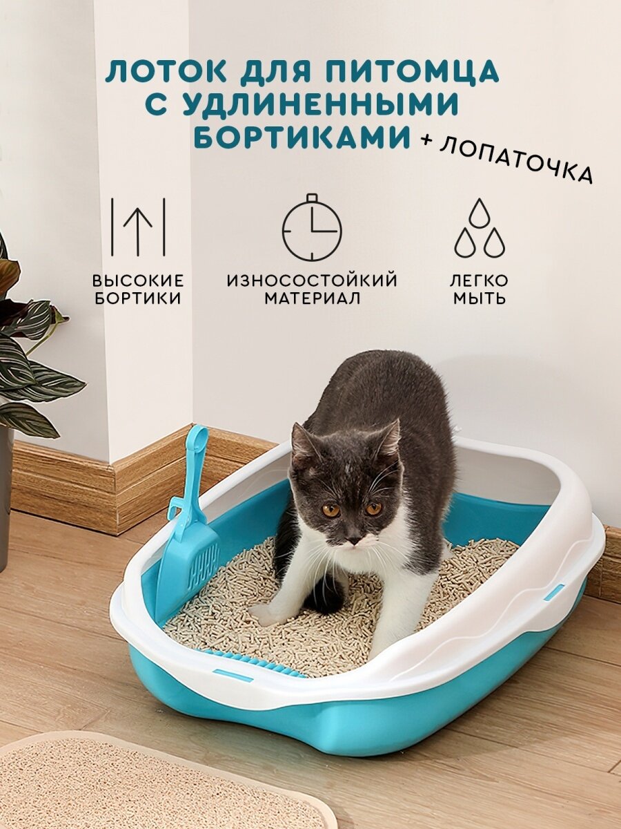 Выбрать кошачий туалет