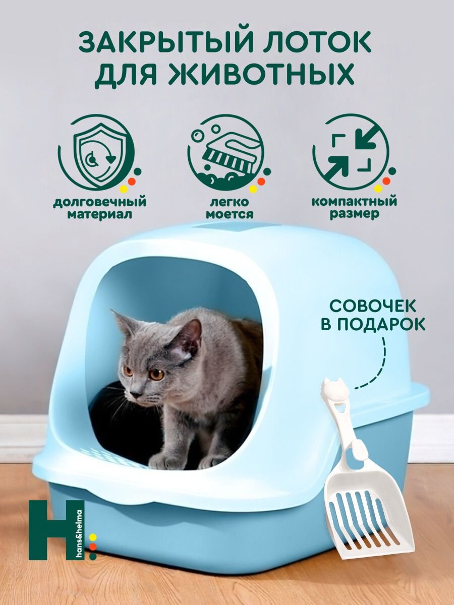 Кот в туалете. Кот какает мимо лотка. Приучить котенка к унитазу. Приучить котенка к унитазу. Котенок в туалете.